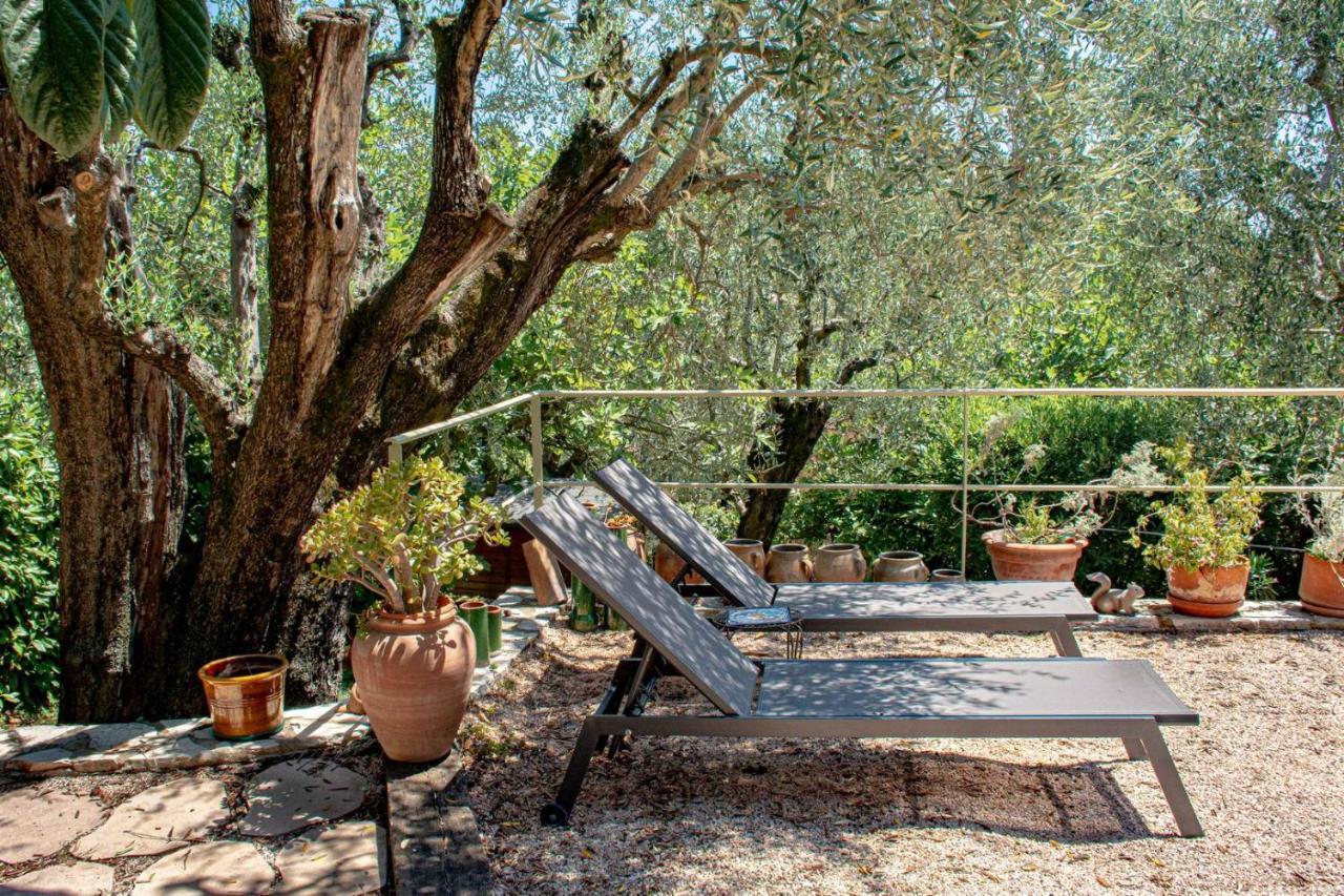 Le Clos des Oliviers Le Rouret Extérieur photo